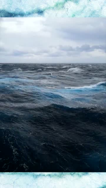 大西洋深处的真实一幕,没有任何配音,深海恐惧症慎入!