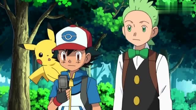 精灵宝可梦:小智很奇怪那些爆爆头水牛,天桐也不太明白