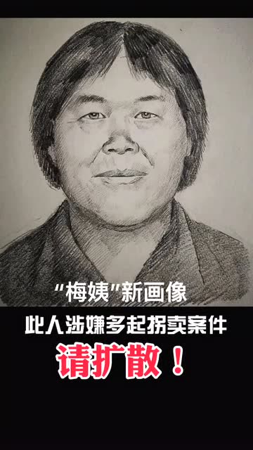 速扩!涉拐卖儿童案梅姨新画像已出!