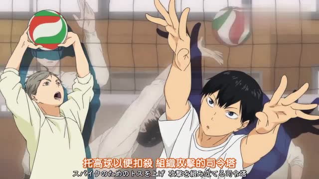 排球少年:顾问对于二传手和主攻手作用进行说明