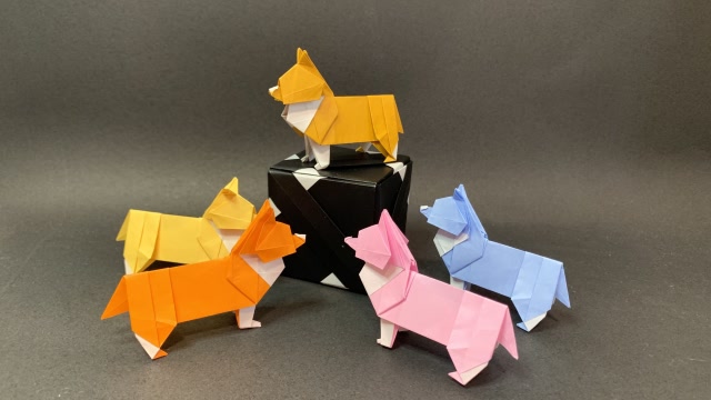 折纸教程,这也是柯基狗,不可思议