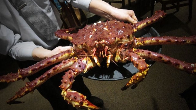 世界上最大的"皇帝蟹",体重达72斤,蟹黄都有足足一盆!