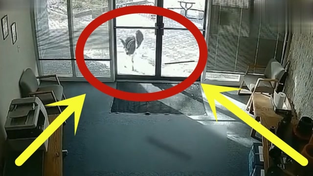 美女回家门上的玻璃碎了,地上一片狼藉,看完监控才发现真相不简单!