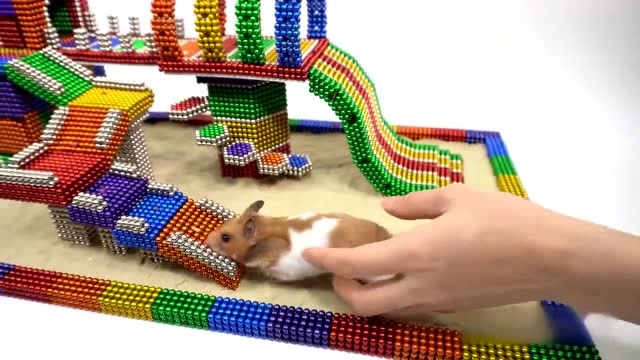 小姐姐用5000颗巴克球制作一个仓鼠游乐场,真让人大开眼界!