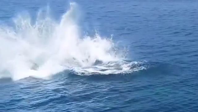 大海里的一幕,大鲨鱼跃出水面的一瞬间,长见识了!