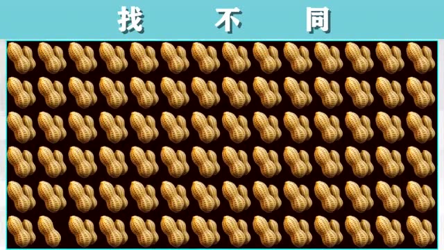 脑力测试:画面中找出不同的花生猜猜