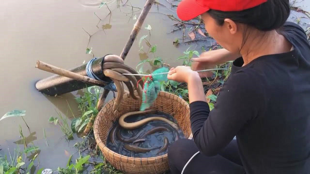 乡下美女的捕鱼神器,把抓鱼做成跟抽水一样简单方便,太神奇了!