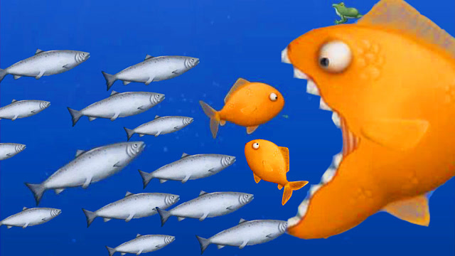 大鱼吃小鱼 小黄鱼肚子饿了,想吃大鱼了