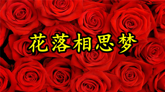 情歌mv:《花落相思梦》奈何岁月难留,相思情薄染愁