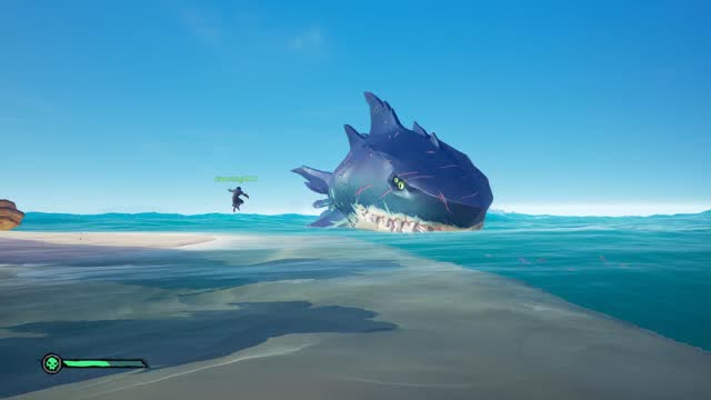 盗贼之海:鲨鱼搁浅了!有点帅