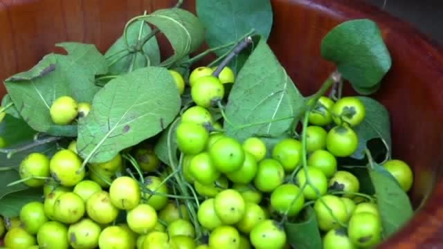 小时候最爱吃的野枇杷手工凉粉这样做,真香,还是小时候的味道!