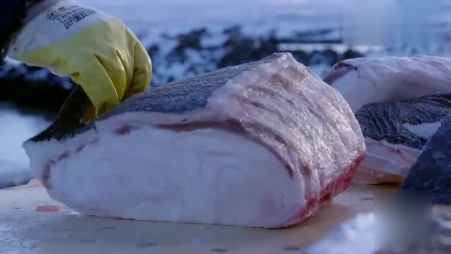 风味人间:鲨鱼肉是什么味道?冰岛人吃之前都要喝酒壮胆