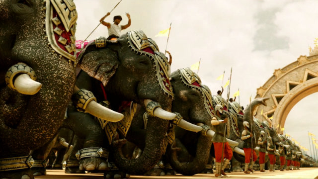 用大象组织军队