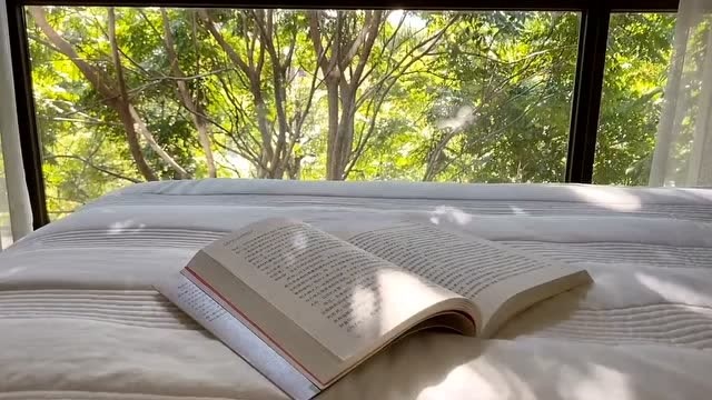 秋日的午后在树下看书,午睡,享受片刻静谧美好的时光,足矣