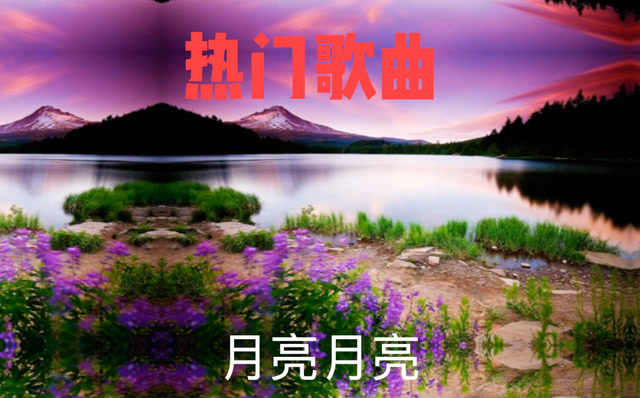 月亮月亮你别睡