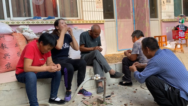 倔媳妇煮板栗,出锅先让爷爷奶奶尝尝,全家围一起有说有笑真热闹