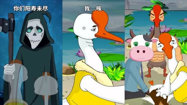 村头胖鹅:光靠勇敢,是救不了人的,救人一定要量力而行