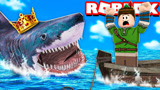 Roblox咬人鲨模拟器：幽灵鲨鱼来袭！惊险鲨鱼追击逃生？小格解说