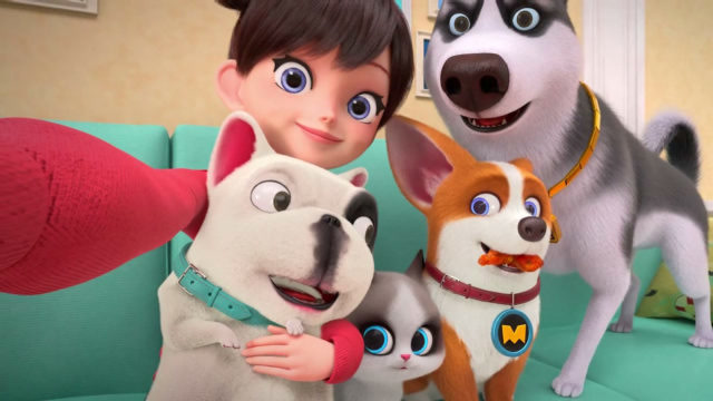 飞狗moco:宠物也需要陪伴