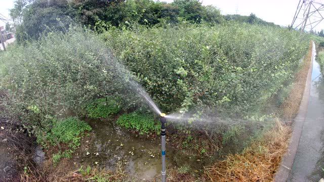 曼斯特麦格喷头系列ms323