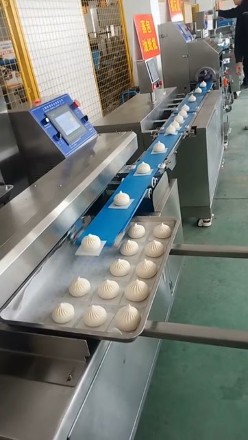 价值30万的全自动包子机流水生产线