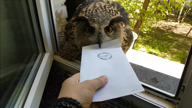 美女跟猫头鹰玩,猫头鹰却不情愿了,好调皮