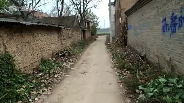 河南商丘,这应该是最穷的村庄了,房子很有年代感,一起去看看