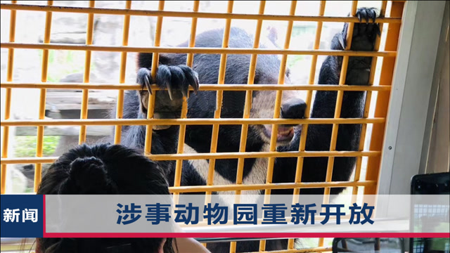 上海一动物园员工被群熊袭击身亡,游客回忆后怕1幕:他本来是为救人