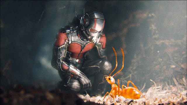 蚁人其实是一部搞笑片,这狗长得太丑了吧