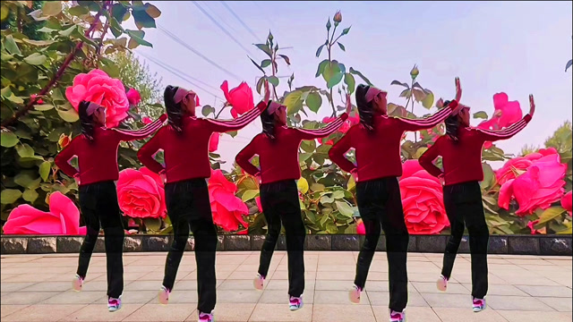dj广场舞《玫瑰花开》,歌曲动感好听!