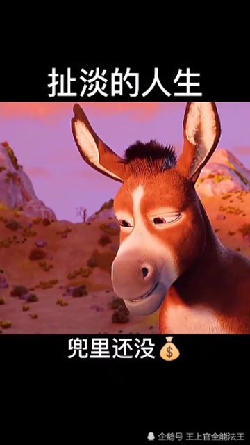 生活语录,扯蛋的人生