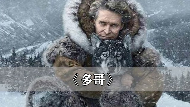 多哥: 雪橇犬奔跑1000公里,为孩子运送救命血清,冒险片