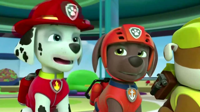 汪汪队立大功第一季:汪汪队太帅了吧,就这炫酷出场我打一百分