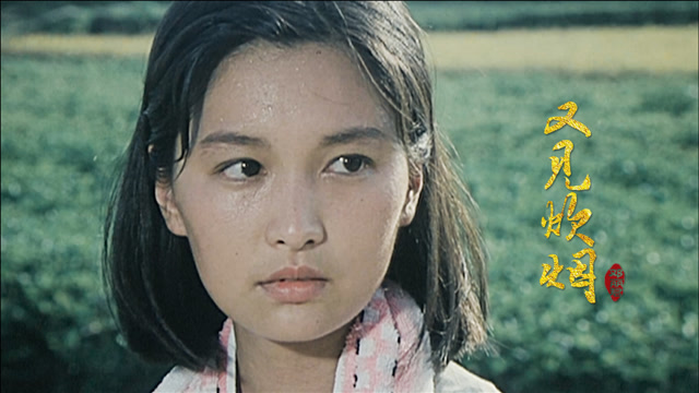 邓丽君怀旧老歌《又见炊烟》,温柔的歌喉,勾勒出朴实如画的年代