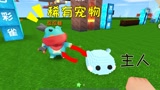 迷你世界：小表妹为了黑龙崽，抛弃了小泡沫，但有它才能领养宠物