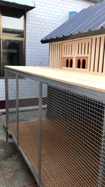 鸽棚#拼装鸽棚#鸽舍支持定做