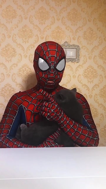 搞怪蜘蛛侠:这只猫叫肉肉