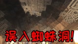 我的世界：误入蜘蛛洞？竟然还有这种地形！