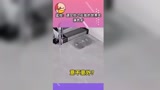 监控：遇见你之后我的世界充满色彩