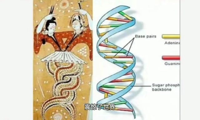 伏羲女娲图与dna