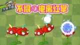 植物大战僵尸：电系家族中的冷板凳！它的伤害比电击蓝莓更高？