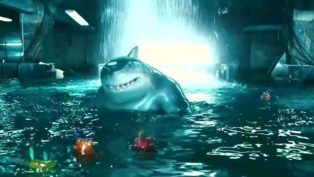 这几只电影中的人形鲨鱼你觉得哪个最厉害憨憨鲨鱼王好可爱