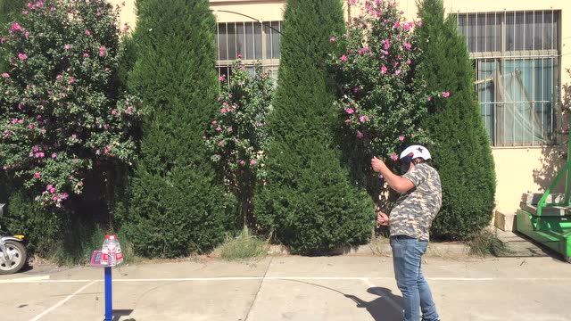 皇禾渔具 波纹鲤4.5 顶钓1500g