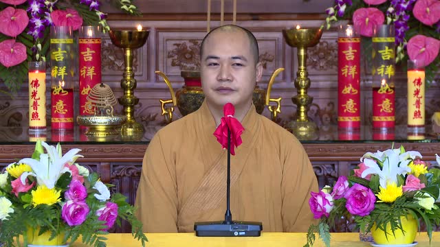 圣旭法师「正在说法」忏悔改过是修行(246)