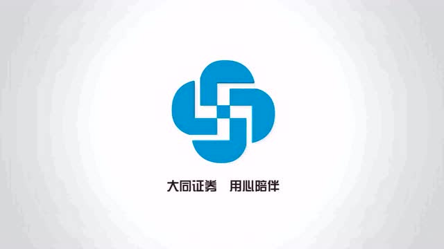 大同证券logo图片