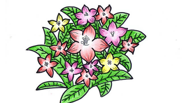 漂亮的五星花简笔画,为爱画画的宝宝留着咯