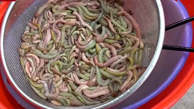 南方酥炸禾虫饼,味道令人回味无穷,你敢吃吗?