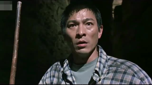 刘德华的猛男电影《大只佬》张柏芝演女一