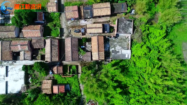 航拍遂溪新农村
