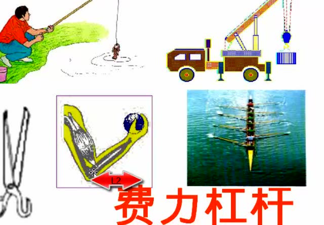 专题:简单机械之杠杆37(2)